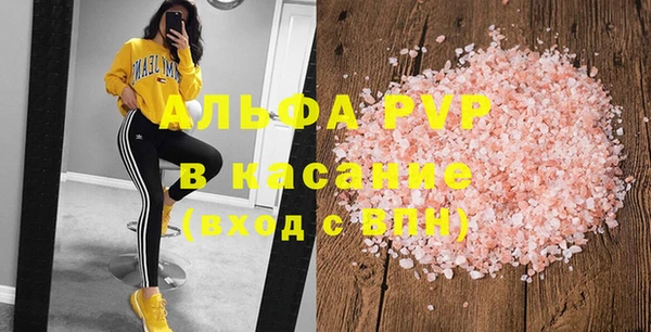 прущие грибы Пересвет