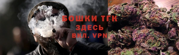 прущие грибы Пересвет