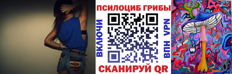 купить  сайты  Лодейное Поле  Псилоцибиновые грибы мухоморы 